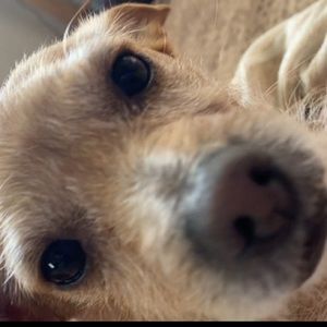 Meet your Posher, Riana